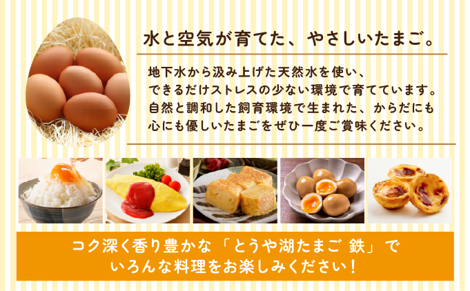 北海道伊達市のふるさと納税 北海道 伊達市 とうや 卵 鉄  40個 入り たまご