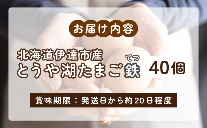 北海道伊達市のふるさと納税 北海道 伊達市 とうや 卵 鉄  40個 入り たまご