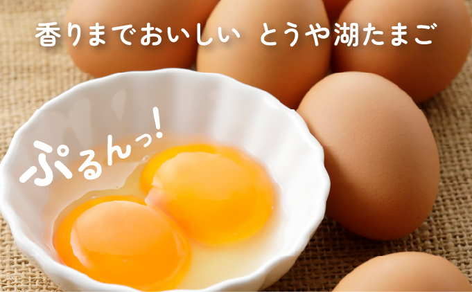 北海道伊達市のふるさと納税 【3ヵ月 定期便】 北海道 伊達市 とうや 卵  20個 入り たまご