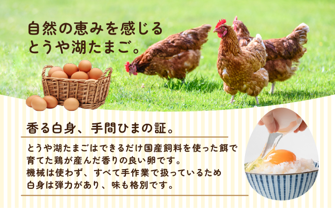 北海道伊達市のふるさと納税 【3ヵ月 定期便】 北海道 伊達市 とうや 卵  20個 入り たまご
