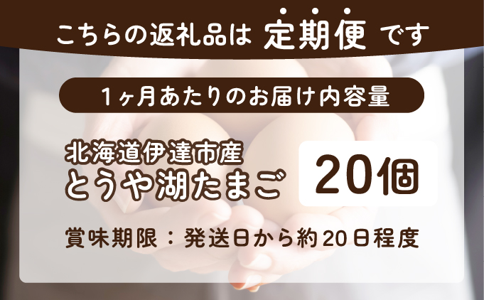 北海道伊達市のふるさと納税 【3ヵ月 定期便】 北海道 伊達市 とうや 卵  20個 入り たまご