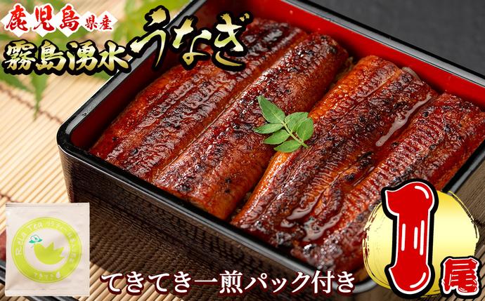 鹿児島県志布志市のふるさと納税 霧島湧水鰻1尾(156g以上)とてきてき一煎1P付きセット a0-375