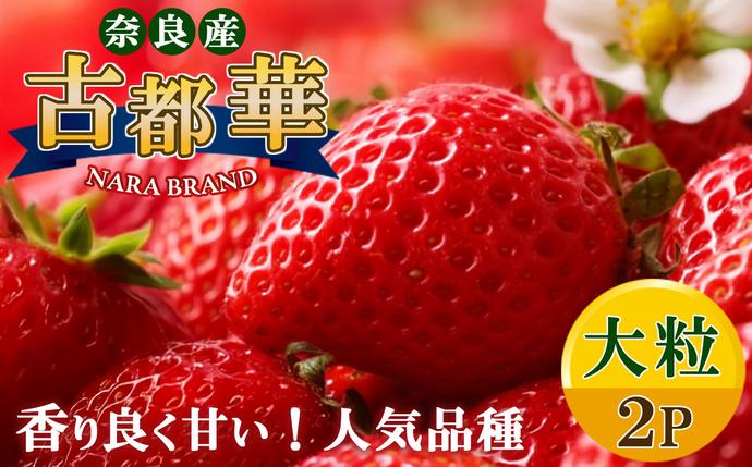 平群の古都華 いちご 大粒(4L〜5Lサイズ)2パック | 果物 くだもの フルーツ 苺 イチゴ いちご ストロベリー 古都華 ことか 旬の品種 奈良県 平群町