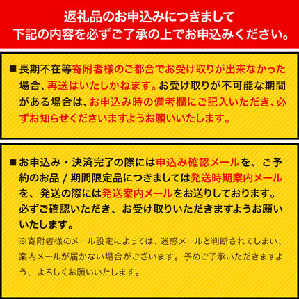 熊本県御船町のふるさと納税 熊本県御船町 御船窯 陶製コーヒーメーカー 《受注制作につき最大4カ月以内に出荷予定》