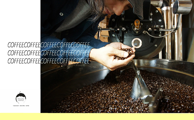 岡山県高梁市のふるさと納税 【メール便】 1袋たっぷり50gのまろやか水出し珈琲×10袋【ドリップ、アイスコーヒー】 飲料類