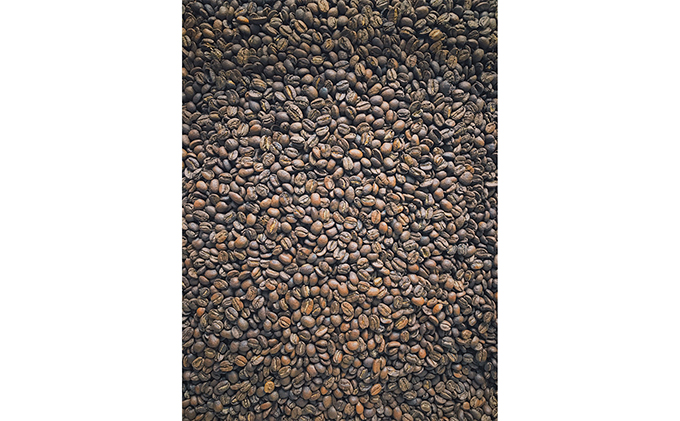 岡山県高梁市のふるさと納税 【メール便】 1袋たっぷり50gのまろやか水出し珈琲×10袋【ドリップ、アイスコーヒー】 飲料類