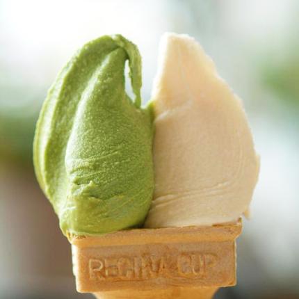 北海道弟子屈町のふるさと納税 1333.アイスクリーム ジェラート 食べ比べ 8個 アイス A セット 手作り 北海道 弟子屈町