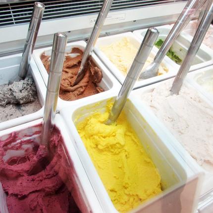 北海道弟子屈町のふるさと納税 1333.アイスクリーム ジェラート 食べ比べ 8個 アイス A セット 手作り 北海道 弟子屈町