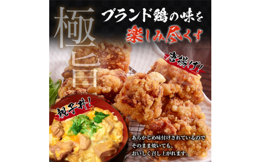 宮崎県日南市のふるさと納税 みやざき地頭鶏 計1kg 鶏肉 チキン 地頭鶏 塩味 味付き 国産 おかず 食品 加工品 惣菜 真空パック おつまみ お弁当 唐揚げ 親子丼 ブランド鶏 簡単調理 焼肉 BBQ 鉄板焼き お祝い 記念日 お取り寄せ グルメ おすそ分け 宮崎県 日南市 送料無料_BA71-23