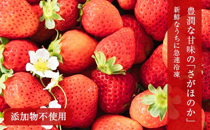 宮崎県日南市のふるさと納税 グランプリ受賞 数量限定 冷凍いちご シロップ付 計1kg+170g 【まるまるタイプ】 果物 くだもの フルーツ 苺 国産 自家製 スムージー イチゴジャム おやつ デザート 詰め合わせ 小分け 産地直送 おすそ分け 贈り物 ギフト 宮崎県 日南市 送料無料_BAV3-24