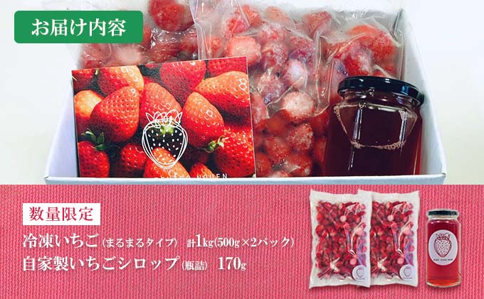 宮崎県日南市のふるさと納税 グランプリ受賞 数量限定 冷凍いちご シロップ付 計1kg+170g 【まるまるタイプ】 果物 くだもの フルーツ 苺 国産 自家製 スムージー イチゴジャム おやつ デザート 詰め合わせ 小分け 産地直送 おすそ分け 贈り物 ギフト 宮崎県 日南市 送料無料_BAV3-24