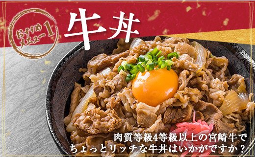 宮崎県日南市のふるさと納税 数量限定 4等級以上 宮崎牛 バラ 切り落とし 計1.2kg 牛肉 黒毛和牛 ビーフ ブランド牛 国産 食品 おかず すき焼き 焼肉 カレー シチュー お弁当 おつまみ ご褒美 お祝 記念日 小分け おすすめ おすそ分け お取り寄せ グルメ 冷凍 宮崎県 日南市 送料無料_D103-25