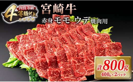 宮崎県日南市のふるさと納税 宮崎牛 赤身 モモ ウデ 焼肉 セット 計800g 牛肉 ビーフ 黒毛和牛 国産 ブランド牛 赤身肉 おすすめ おもてなし BBQ バーベキュー グランピング 鉄板焼き ご褒美 お祝い 記念日 詰め合わせ お取り寄せ グルメ 4等級以上 A4ランク以上 宮崎県 日南市 送料無料_DC28-25