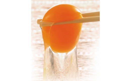 三重県多気町のふるさと納税 JK-01 たまご屋さんの ギフトセット (平飼い有精卵)