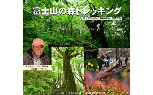 荘銀タクト鶴岡」大ホール スタインウェイ フルコンサートグランド