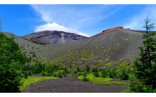 静岡県富士宮市のふるさと納税 0050-18-04　第4回ジャパンツーリズムアワード受賞！富士山 宝永火口トレッキング