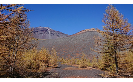 静岡県富士宮市のふるさと納税 0050-18-04　第4回ジャパンツーリズムアワード受賞！富士山 宝永火口トレッキング