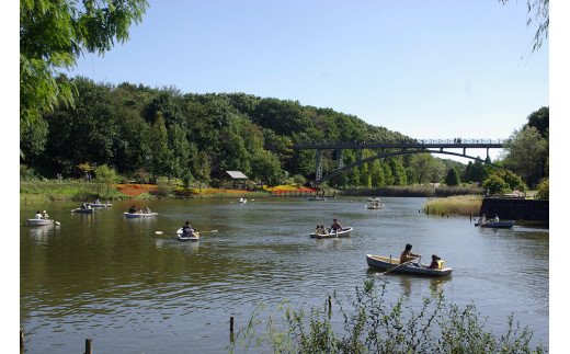 千葉県船橋市のふるさと納税 【子連れレジャーに】ふなばしアンデルセン公園 入園券(M01)