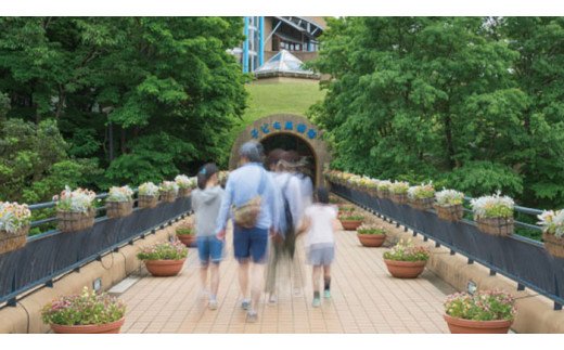千葉県船橋市のふるさと納税 【子連れレジャーに】ふなばしアンデルセン公園 入園券(M01)