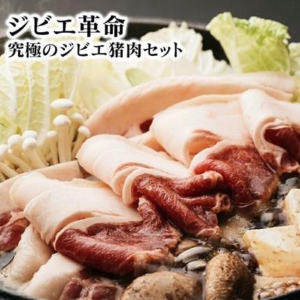 宮崎県延岡市のふるさと納税 ジビエ革命〜究極のジビエ猪肉セット N028-YZA508
