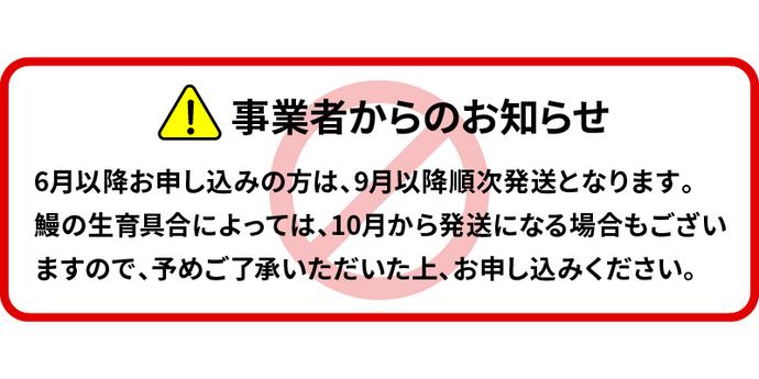 宮崎県延岡市のふるさと納税 【定期便】北川鰻の白焼き（4尾×4ヶ月） N010-YG0147